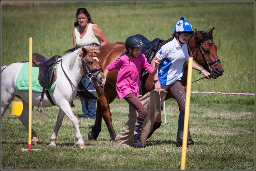 Mounted Games 255